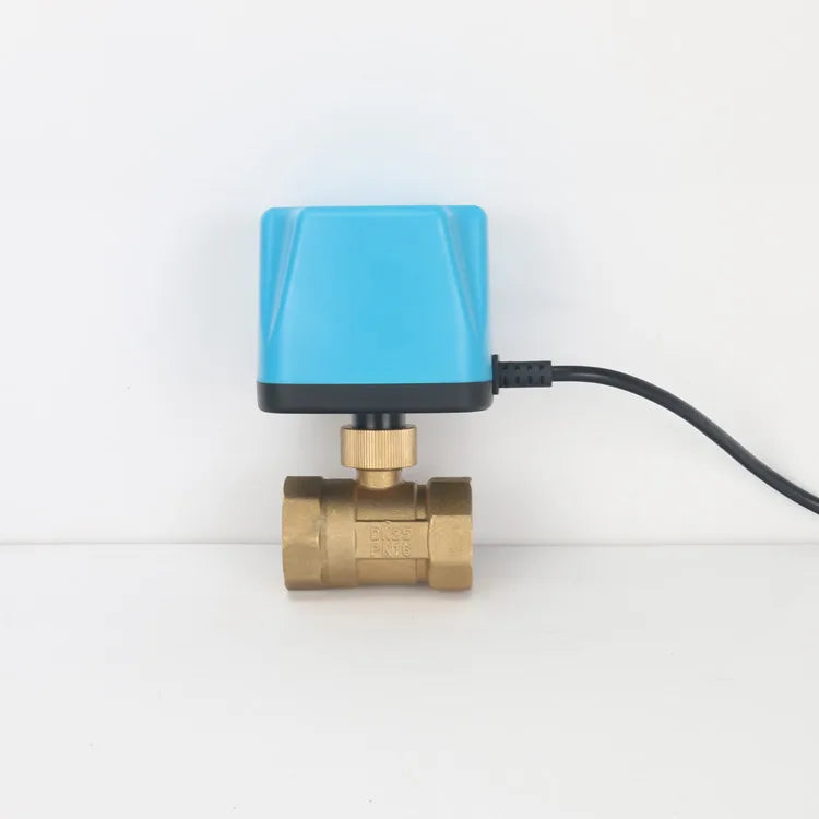 1/2" 3/4" 1" 2" Normally Closed/Open Two Wire Motorized Ball Valve Electric Ball Valve AC220V DC12V DC24V