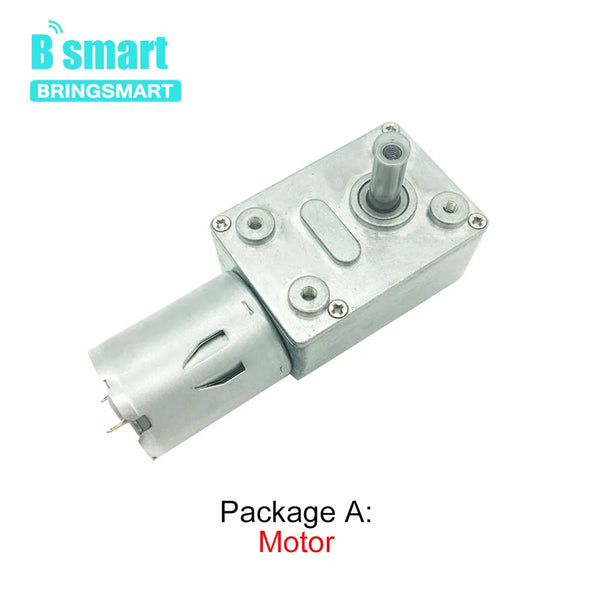 Worm Gear Motor 12v With Metal Mounting Bracket Dc Motor Remote Controller Reversed Power Supply 24V Self-locking Customized