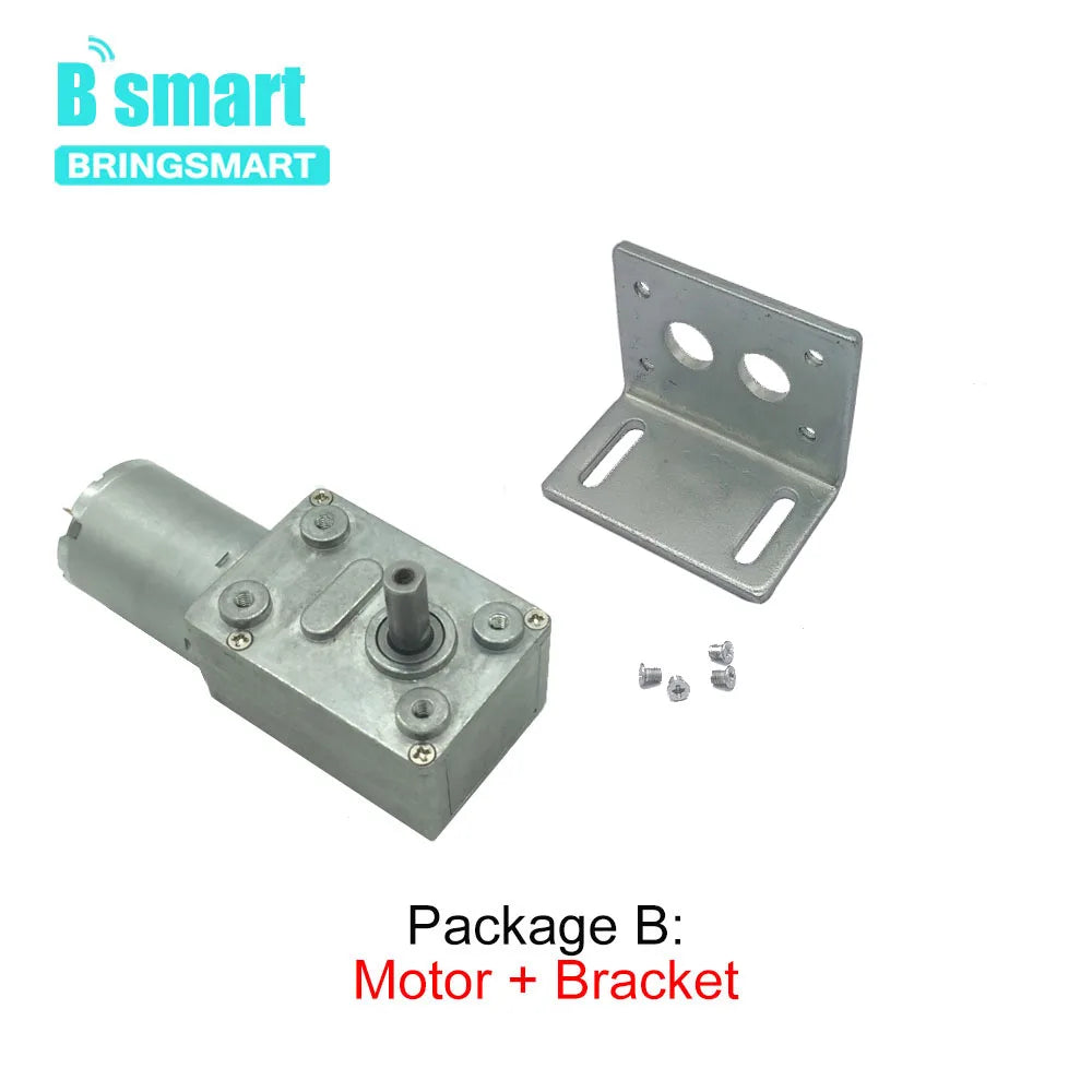 Bringsmart JGY-370 Worm Gear Motor 12 Volt Small Electric Motor 12v Dc Motor 6v Reducer 18V with Self-locking Gearbox Customized