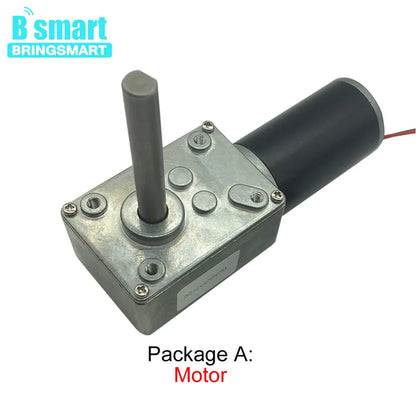 DC 24V Worm Geared Motors High Torque 12V Volt DC Motor Customized Reduction Motor Self-Lock Extension Shaft Motor 5840-31ZY DIY