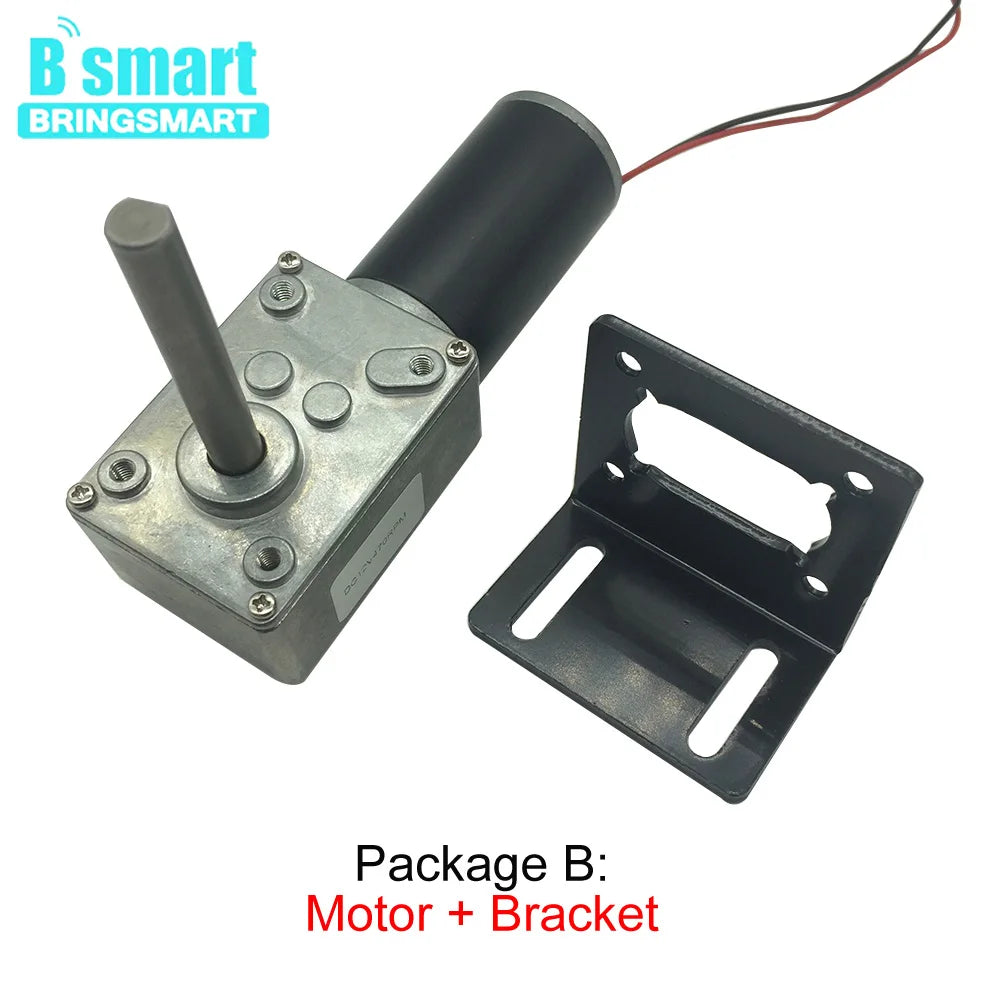 DC 24V Worm Geared Motors High Torque 12V Volt DC Motor Customized Reduction Motor Self-Lock Extension Shaft Motor 5840-31ZY DIY
