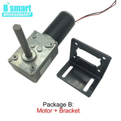 DC 24V Worm Geared Motors High Torque 12V Volt DC Motor Customized Reduction Motor Self-Lock Extension Shaft Motor 5840-31ZY DIY