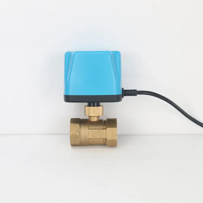 1/2" 3/4" 1" 2" Normally Closed/Open Two Wire Motorized Ball Valve Electric Ball Valve AC220V DC12V DC24V