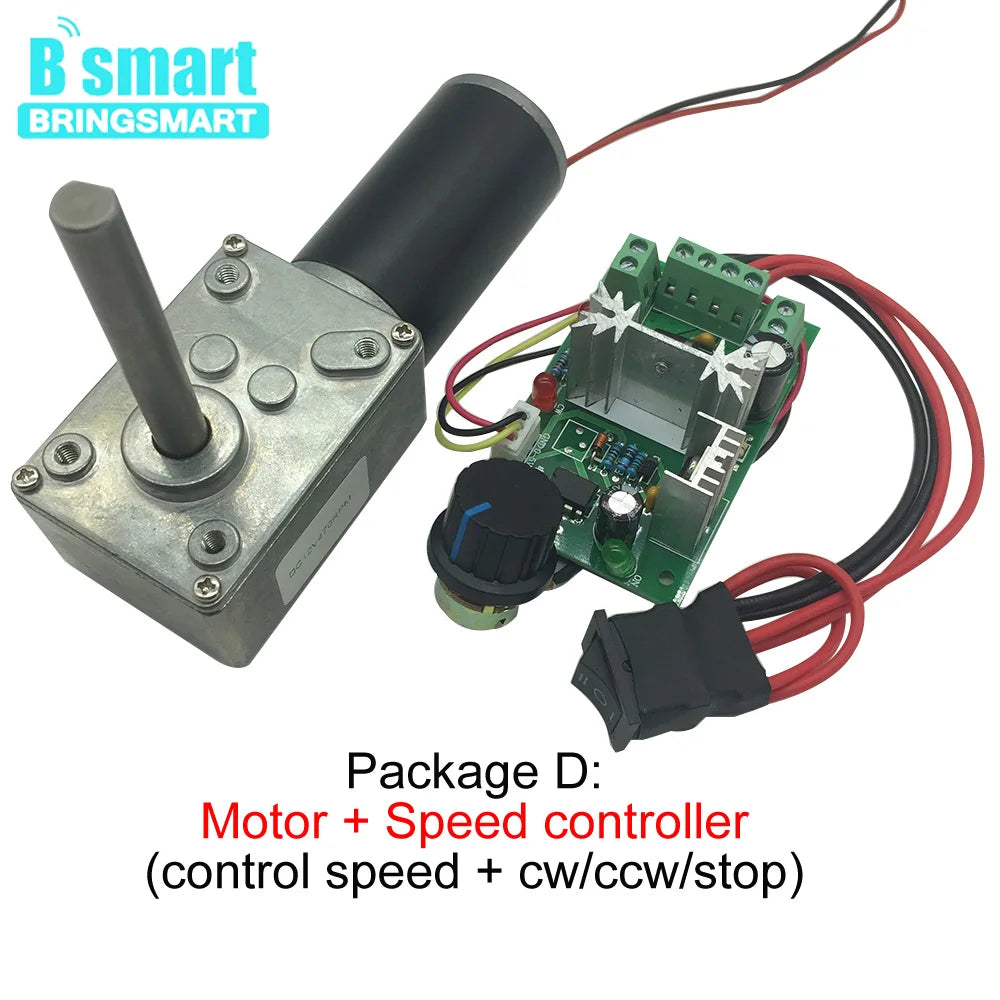 DC 24V Worm Geared Motors High Torque 12V Volt DC Motor Customized Reduction Motor Self-Lock Extension Shaft Motor 5840-31ZY DIY