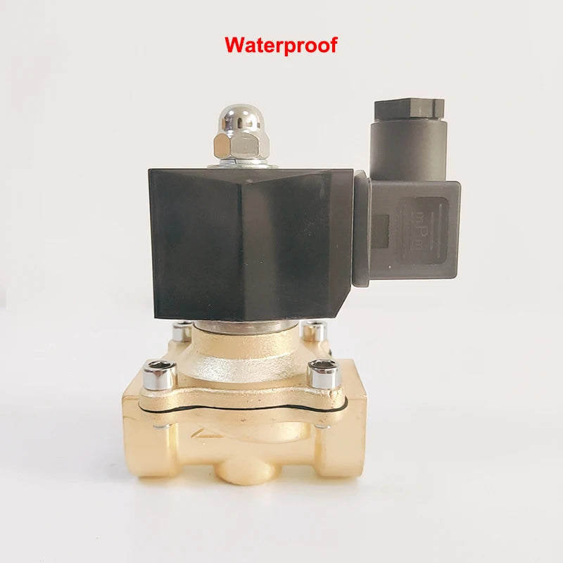DN15-DN50 Normally Closed Motorized Solenoid Valve Brass Switch Valve Water Valve AC220V DC24V