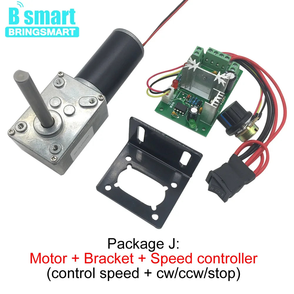 DC 24V Worm Geared Motors High Torque 12V Volt DC Motor Customized Reduction Motor Self-Lock Extension Shaft Motor 5840-31ZY DIY