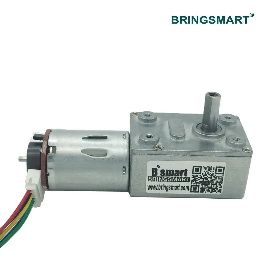 Bringsmart 6V 12V 24V Low Speed DC Electric Motor Worm Encoder Disk High Torque Micro Gearbox Motor Reductor JGY-370B