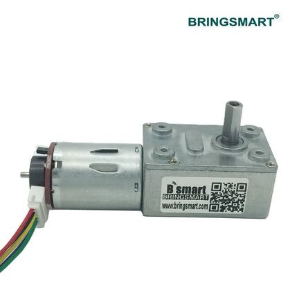 Bringsmart 6V 12V 24V Low Speed DC Electric Motor Worm Encoder Disk High Torque Micro Gearbox Motor Reductor JGY-370B