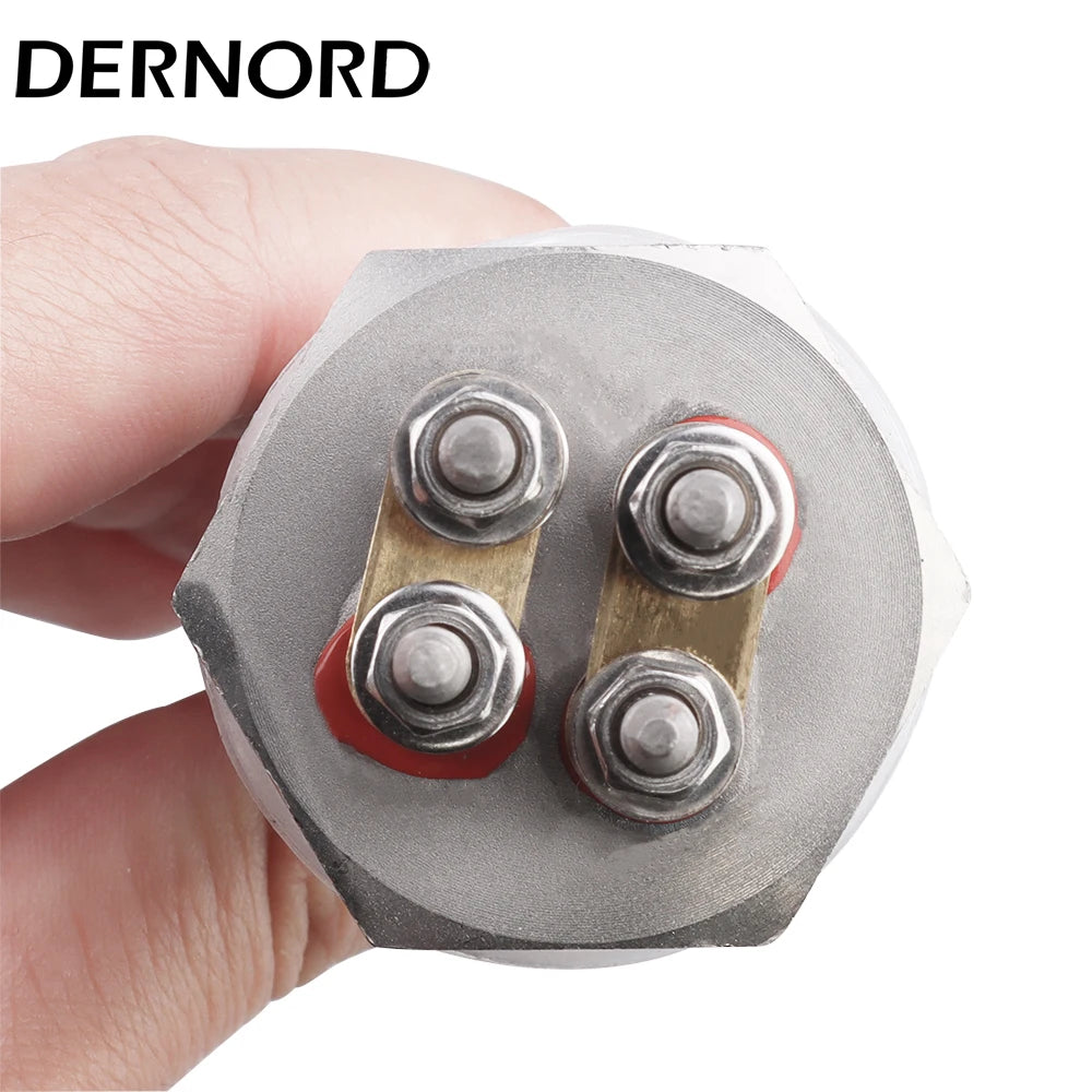 Heating Element 12v 24v 36v 48v 300W 600W SUS304 DN25 DC Immersion Water Solar/Electric Tubular Heater