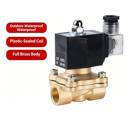 Solenoid Valve IP65 for Water Oil Air 12V/24V/220V/110V 1/4" 1/2" 3/4" 1" 1-1/4" 1-1/2" 2" Normally Closed Brass Water Valve