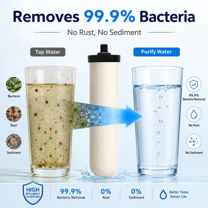 Collier 10 Inch 9504/9501 M10 Washable Reusable Ceramic Water Filter Cartridge, Replacement Filter for Water Purifier