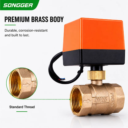 Electric Brass Ball Valve Motorized 2 Way 3 Way AC220V DC12-24V HVAC Fan Coil Heating Water Control DN15-DN50